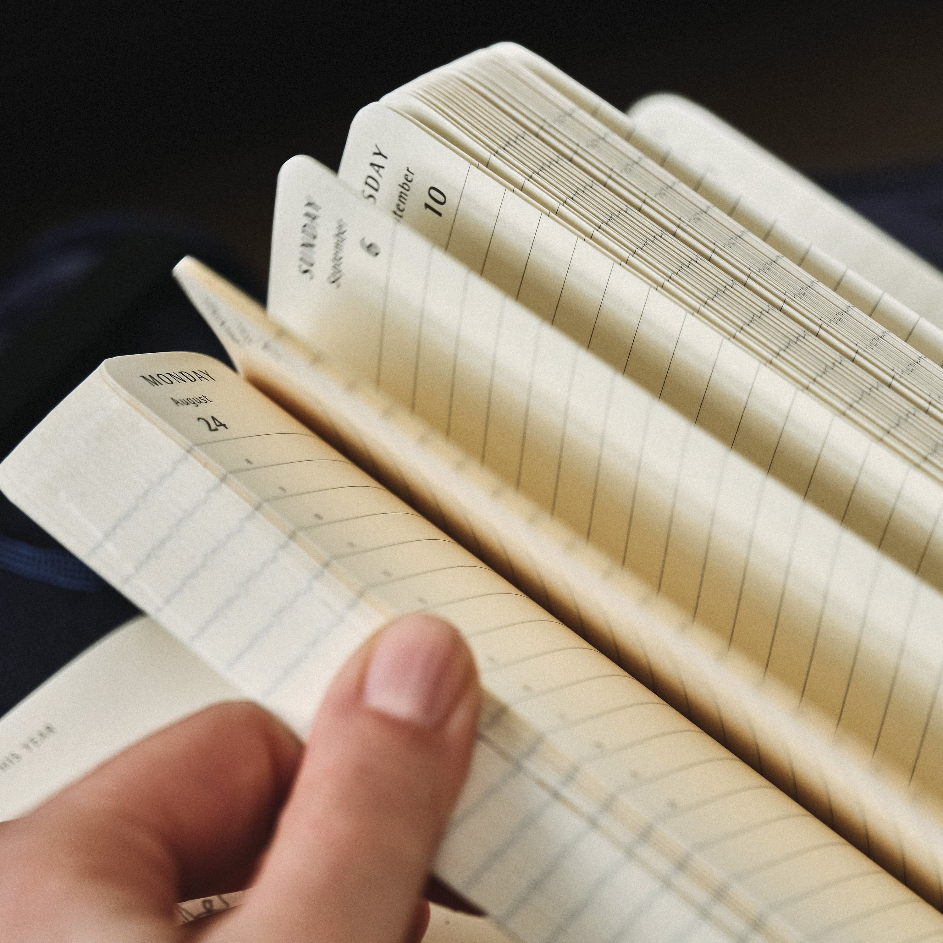 Moleskin daily planner deals how to use